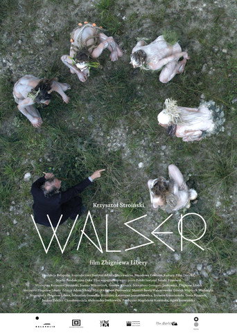 Walser movie poster