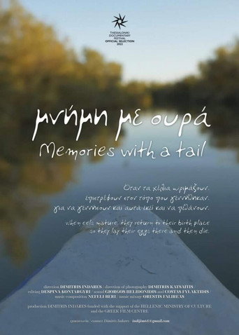 Memories with a Tail movie poster
