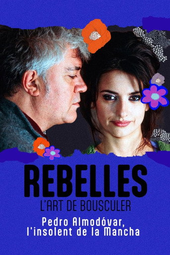 Almodóvar, l'insolent de la Mancha movie poster