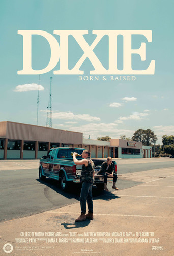 Dixie movie poster