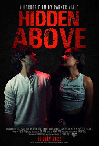 Hidden Above movie poster