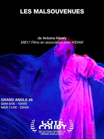 Les malsouvenues movie poster