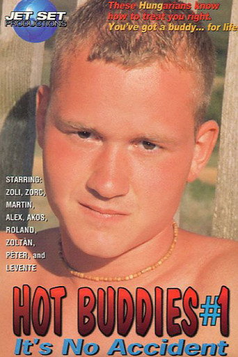Hot Buddies #1: It's No Accident movie poster