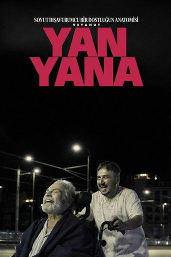 Soyut Dışavurumcu Bir Dostluğun Anatomisi Veyahut Yan Yana movie poster