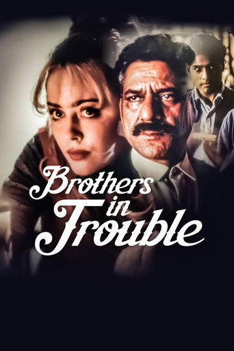 Brothers in Trouble movie poster