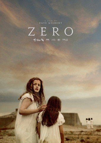 Zero movie poster
