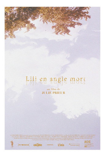 Lili's Blind Spot movie poster