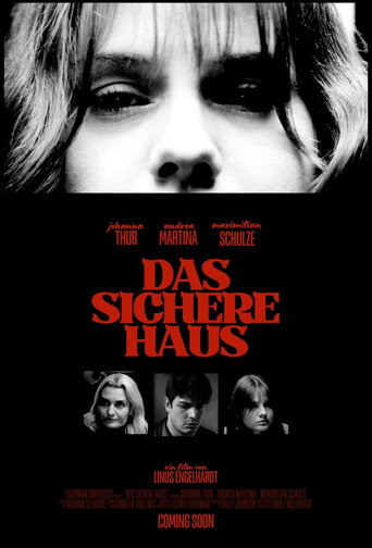 Das Sichere Haus movie poster