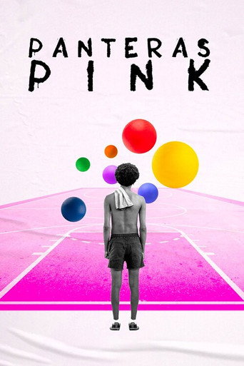 Panteras Pink movie poster