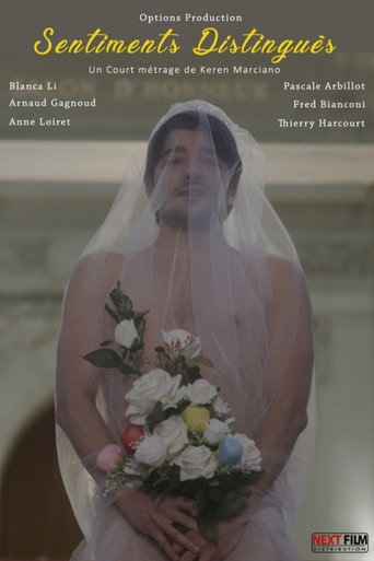 Distinguished Feelings movie poster