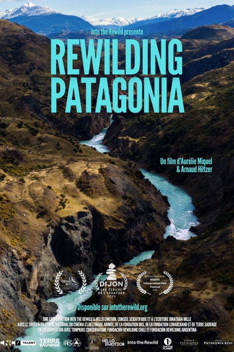 Rewilding Patagonia movie poster