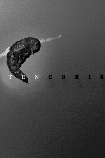 Tenebris movie poster