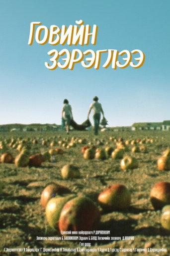 Mirage Above the Gobi Desert movie poster