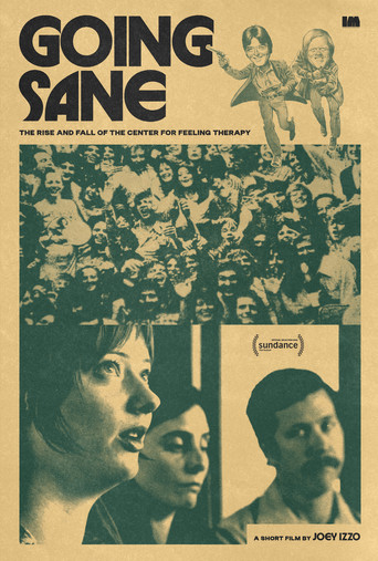 Going Sane: The Rise and Fall of the Center for Feeling Therapy movie poster