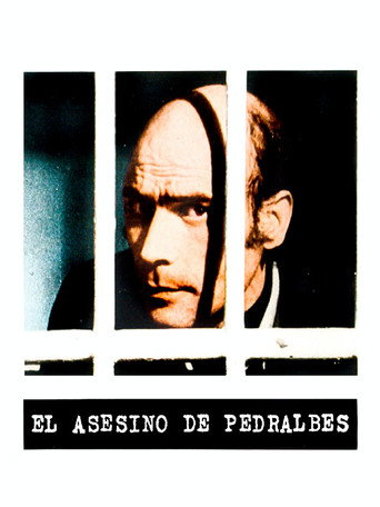 The Murderer of Pedralbes movie poster