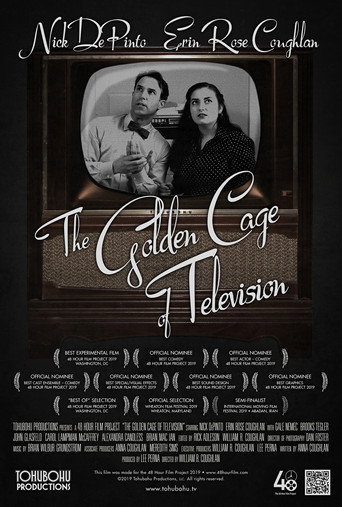 The Golden Cage of Television movie poster