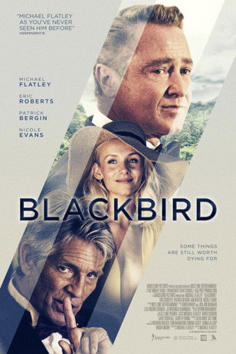 Blackbird movie poster