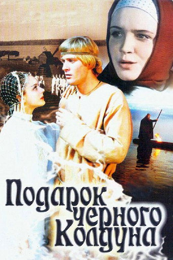 The Black Wizard's Gift movie poster
