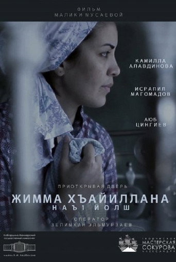 Slightly Opening The Door movie poster