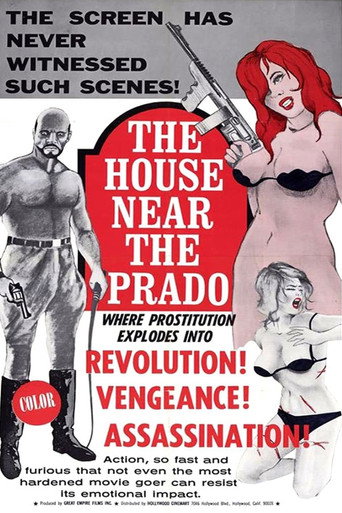 The House Near the Prado movie poster
