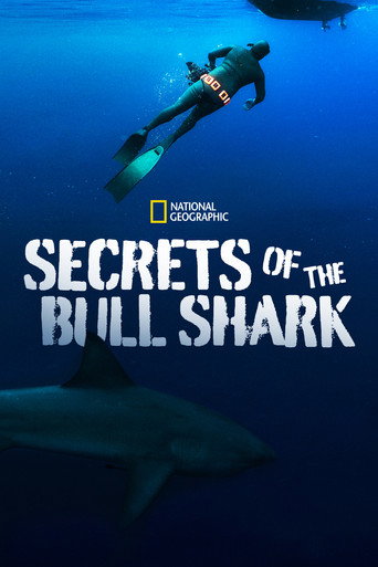 Secrets of the Bull Shark movie poster