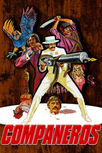 Compañeros movie poster