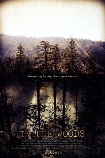 In the Woods movie poster