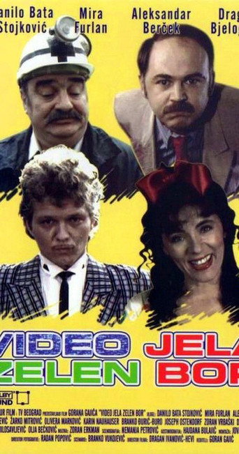 Dear Video movie poster