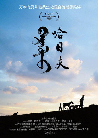 Harhuu movie poster