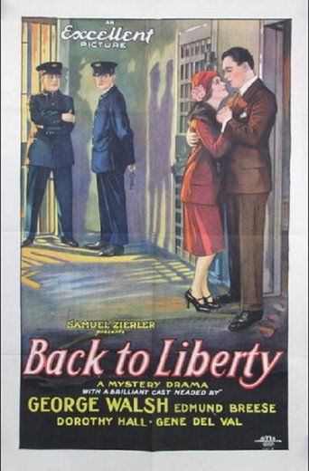 Back to Liberty movie poster