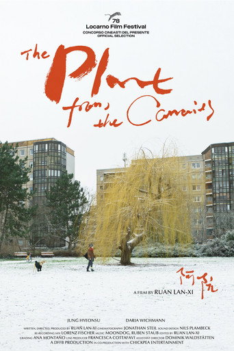 The Plant from the Canaries movie poster