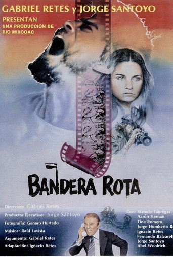 Broken Flag movie poster