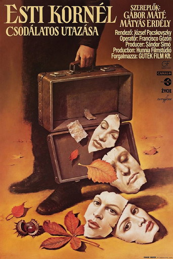 The Wondrous Voyage of Kornel Esti movie poster