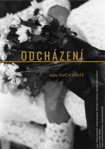 Odcházení movie poster