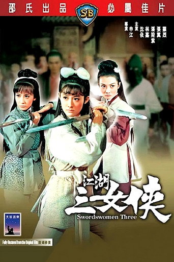 Swordswomen Three movie poster