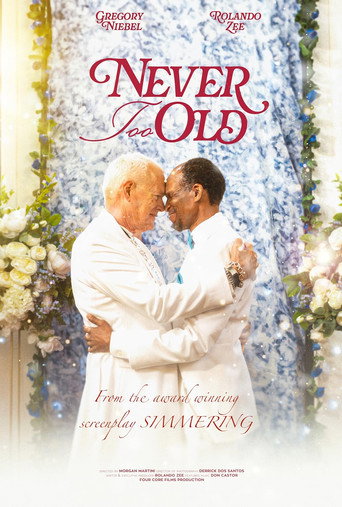 Never Too Old movie poster