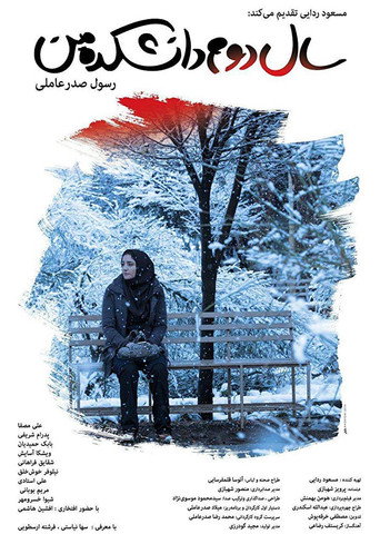 My Second Year in College movie poster
