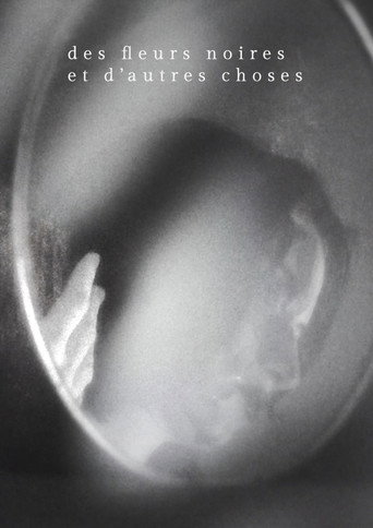 Des fleurs noires et d'autres choses movie poster