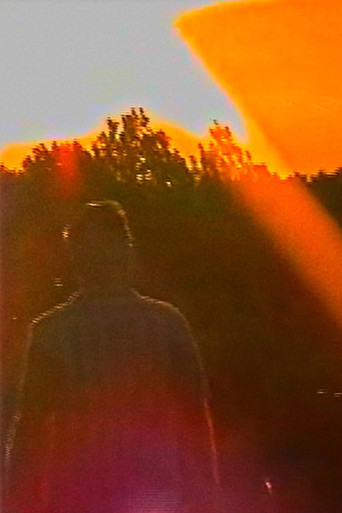 if memories fade, do feelings remain? movie poster