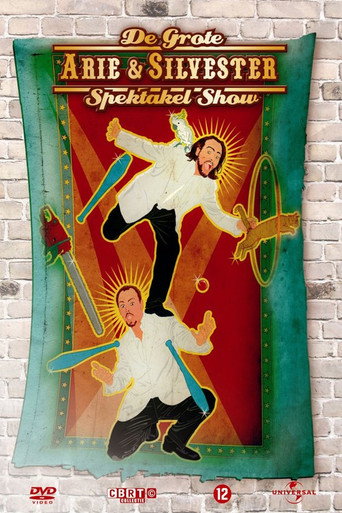 Arie & Silvester - The big spectacle show movie poster