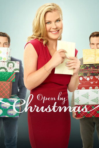 Open by Christmas movie poster