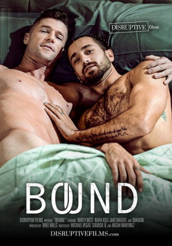 Bound movie poster