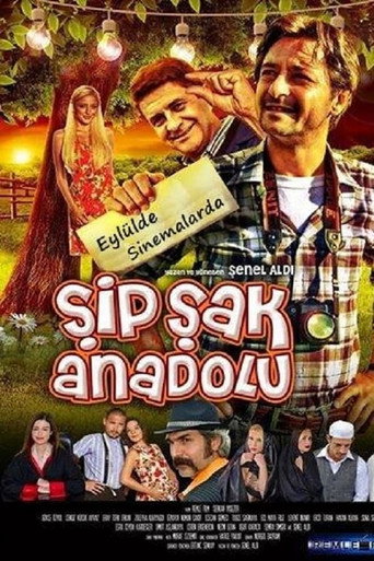 Şipşak Anadolu movie poster