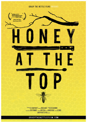 Honey at the Top movie poster
