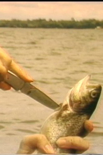 The Myth of the Fishes movie poster
