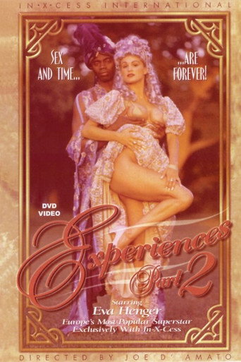 Experiences 2 movie poster