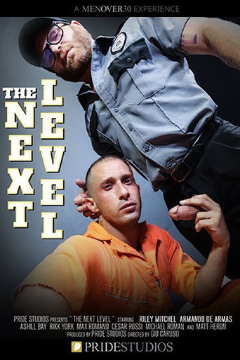 The Next Level movie poster