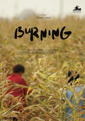 Burning movie poster