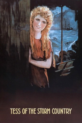 Tess of the Storm Country movie poster