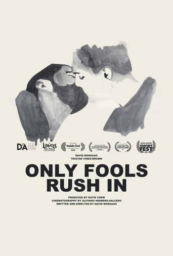 Only Fools Rush In movie poster